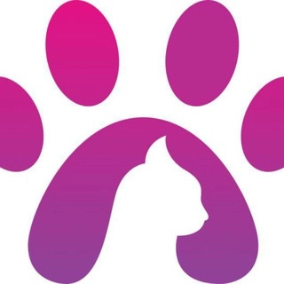 PawsCombat tApp Game